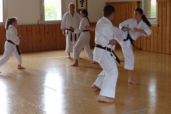 Braun_Schwarzgurt_Training_Juni_4