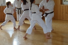 Braun_Schwarzgurt_Training_Juni_8