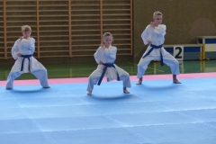 fudokan-internationalcup_201303_19