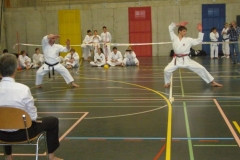 image11 image11