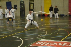 image13