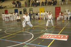 image24