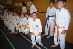 image31