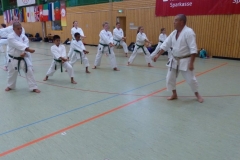 jska-europacup-germany_20130713_16