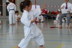 karate_jska_15