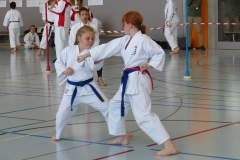 karate_jska_2