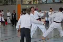 karate_jska_22