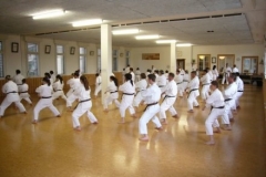 abeshihan_erwachsentraining_20100427_20