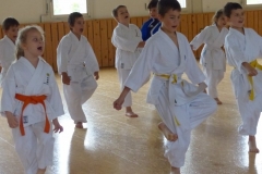 kinderjugendtraining_20130602_01