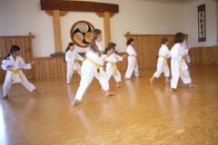 KinderJugendtraining_20110305_17