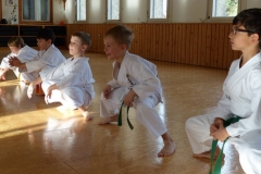 kinderjugendtraining_20141115_03