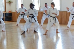 abesensei-lehrgang_20130706_15 abesensei-lehrgang_20130706_15