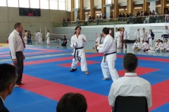 skc-sm2014_25