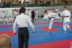 skc-sm2014_26