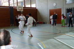 skc-schiedsrichterkurs_20130310_18