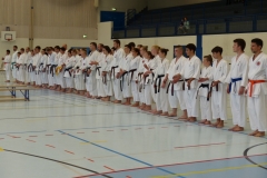 Shotokan_Cup_29052016_02