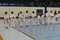 Shotokan_Cup_29052016_07