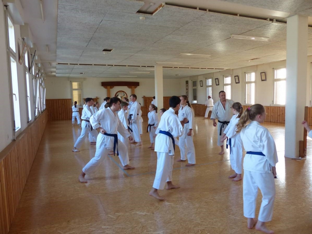 Blau_Braun_Schwarzgurt_Training_April_04