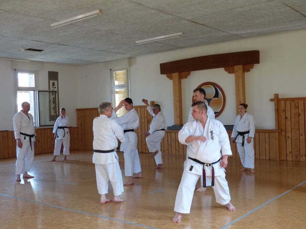 Blau_Braun_Schwarzgurt_Training_April_06