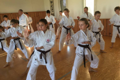 Gratis_Kata_Kurs_Ehrungen_WM2018_07