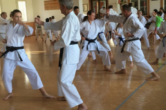 Gratis_Kata_Kurs_Ehrungen_WM2018_12