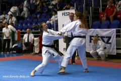 EM_Ungarn_53