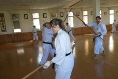Karate_Plus_30_2022_05