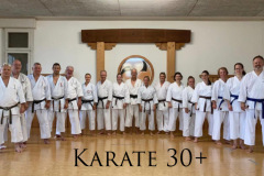 Karate_30plus_01