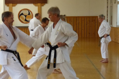 Karate+40_03