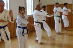 Karate+40_06