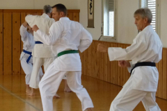 Karate+40_12