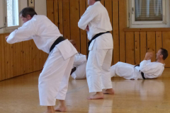 Karate+40_16