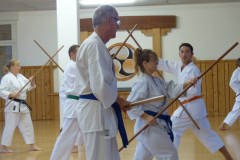 Karate+40_35