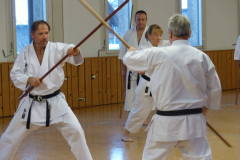 Karate+40_36