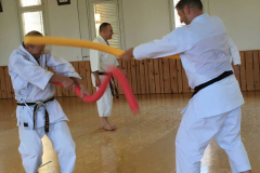Karate30plus_13