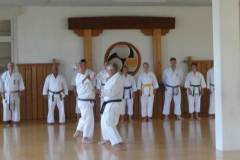 Karate30plus_2019_02