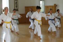 Karate30plus_2019_08