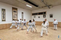 Budokan_Thun_Kawasaki_16032026_05