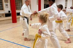 Budokan_Thun_Kawasaki_16032026_09