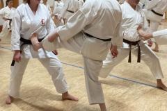 Budokan_Thun_Kawasaki_16032026_27