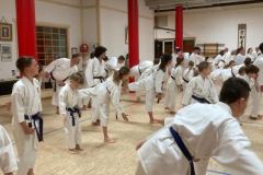 Budokan_Thun_Kawasaki_16032026_28