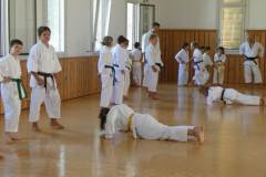 Lehrgang_Maeda_Shihan_05