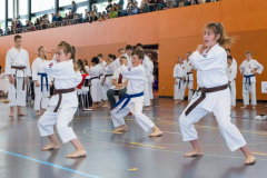 Shotokan_Cup_2019_033_klein