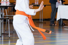 Shotokan_Cup_2019_060_klein