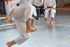 Shotokan_Cup_29052022_038