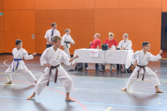 Shotokan_Cup_29052022_072