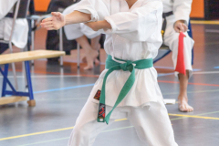 Shotokan_Cup_29052022_140