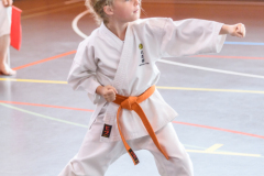 Shotokan_Cup_29052022_143