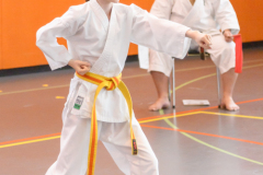 Shotokan_Cup_29052022_199