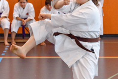 Shotokan_Cup_29052022_276